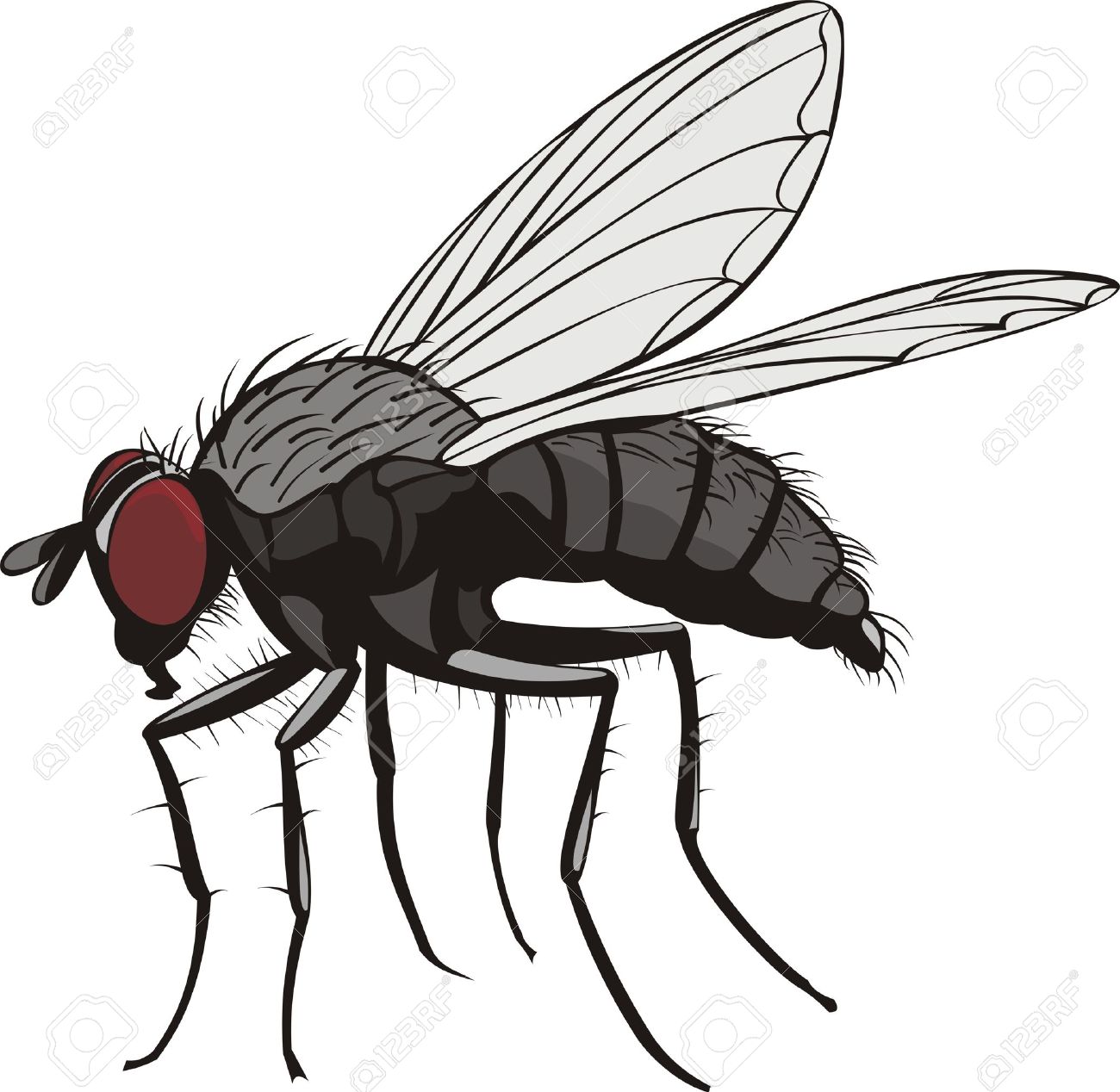 winged insects clipart - photo #2