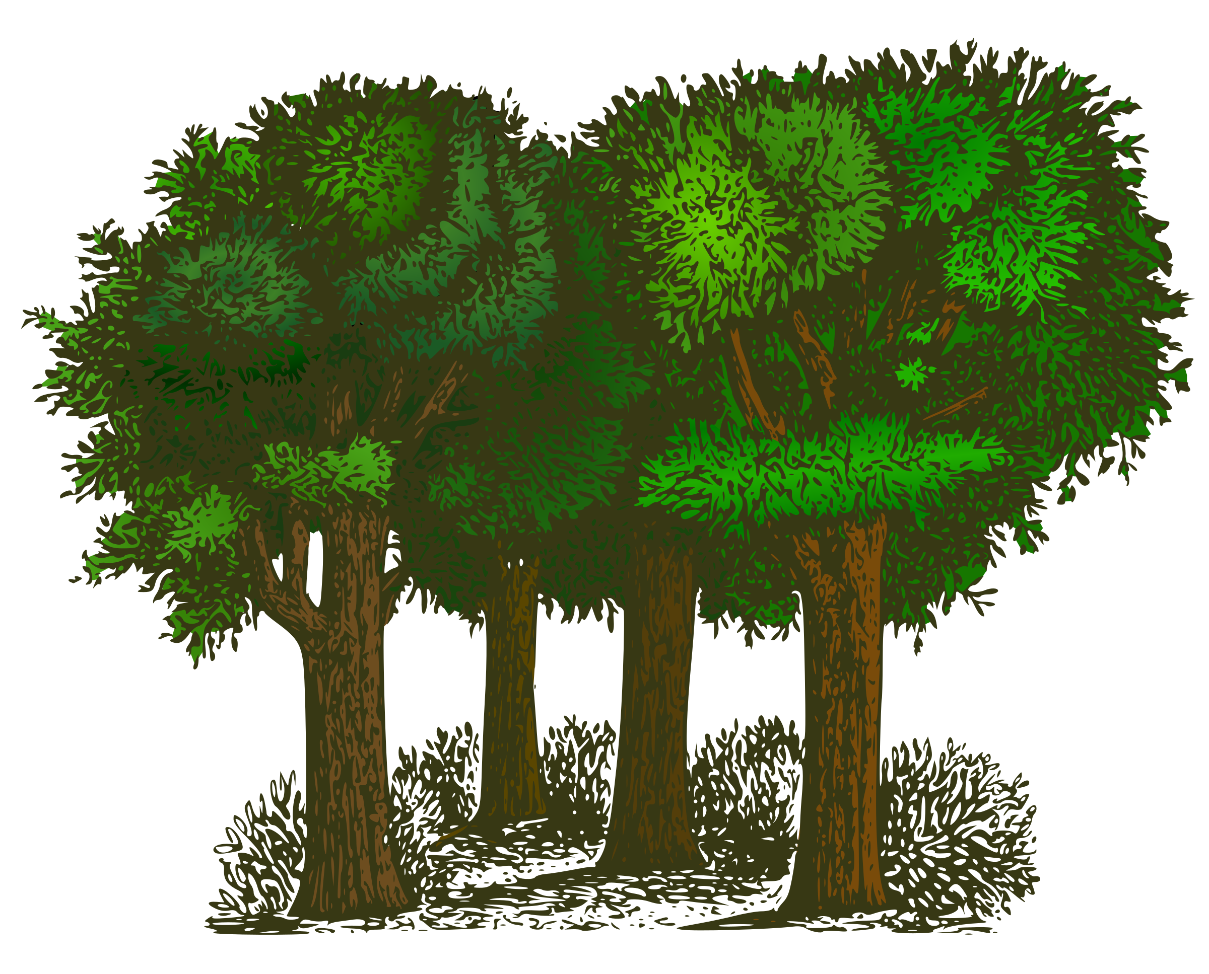 forest clipart png - Clipground