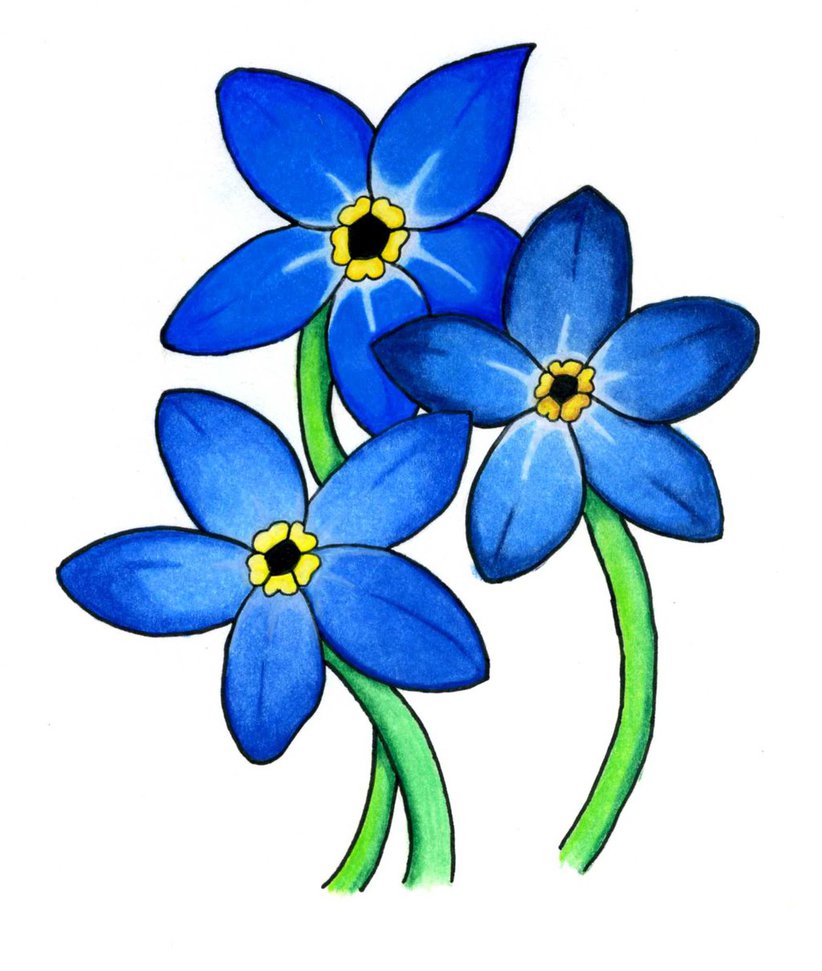 clip art forget me not flower - photo #8