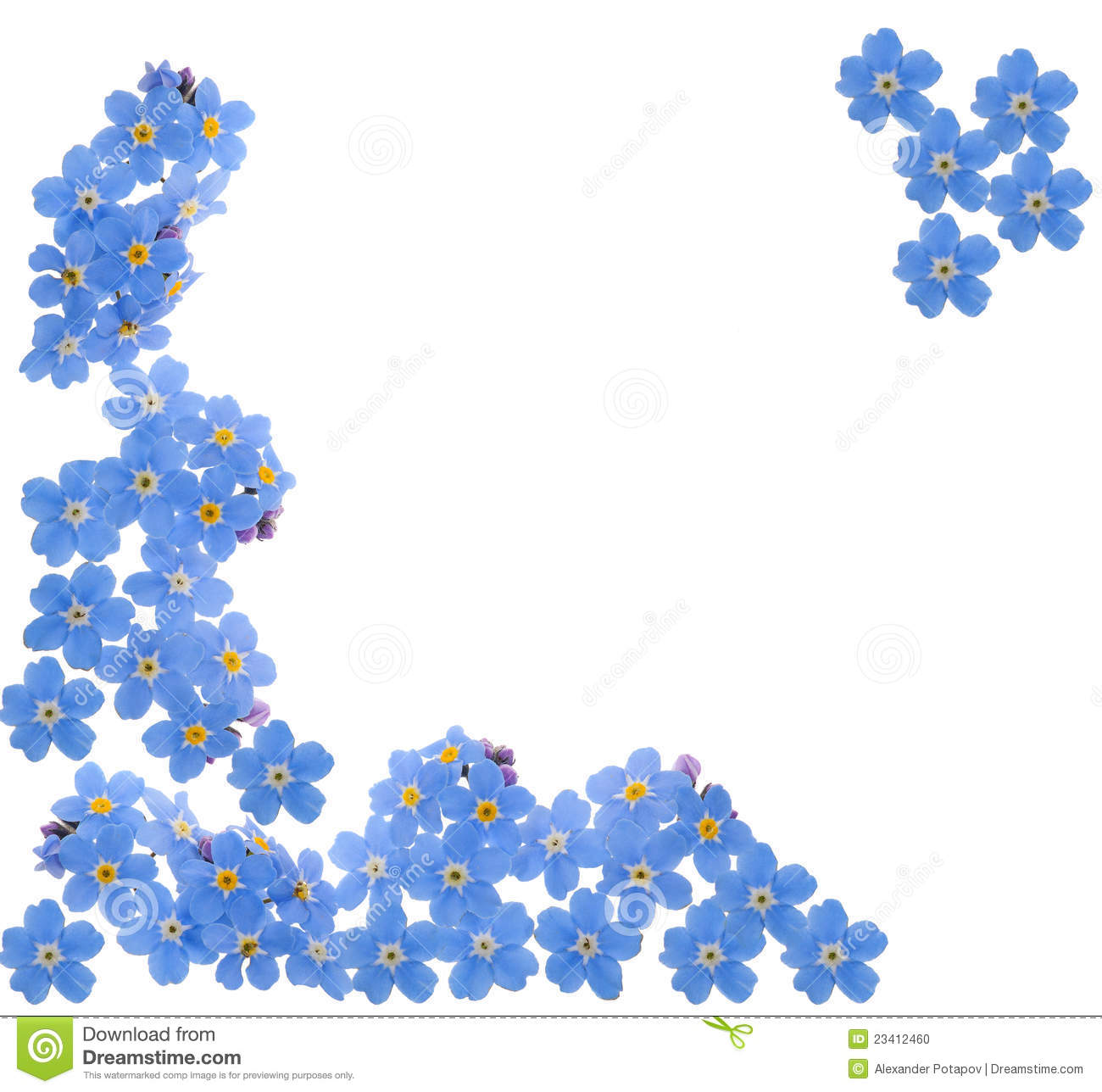 Flower Drawing Boarder Png