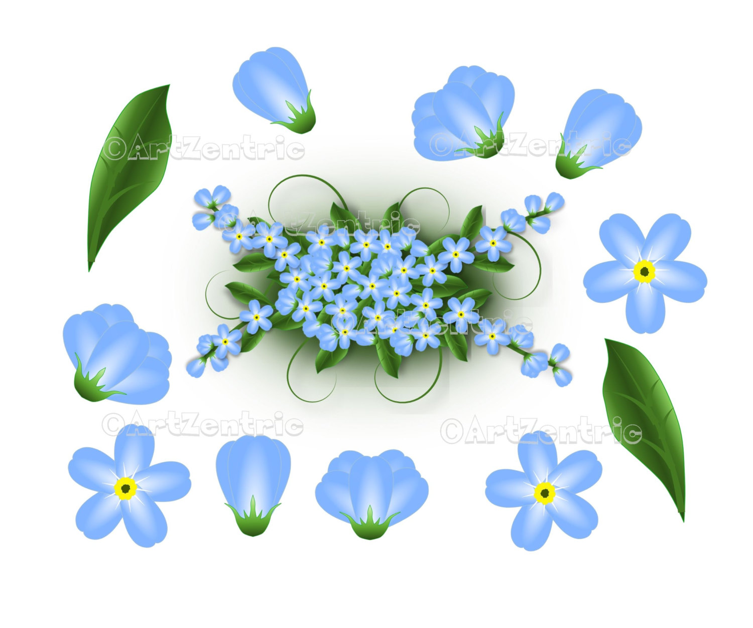clip art forget me not flower - photo #26