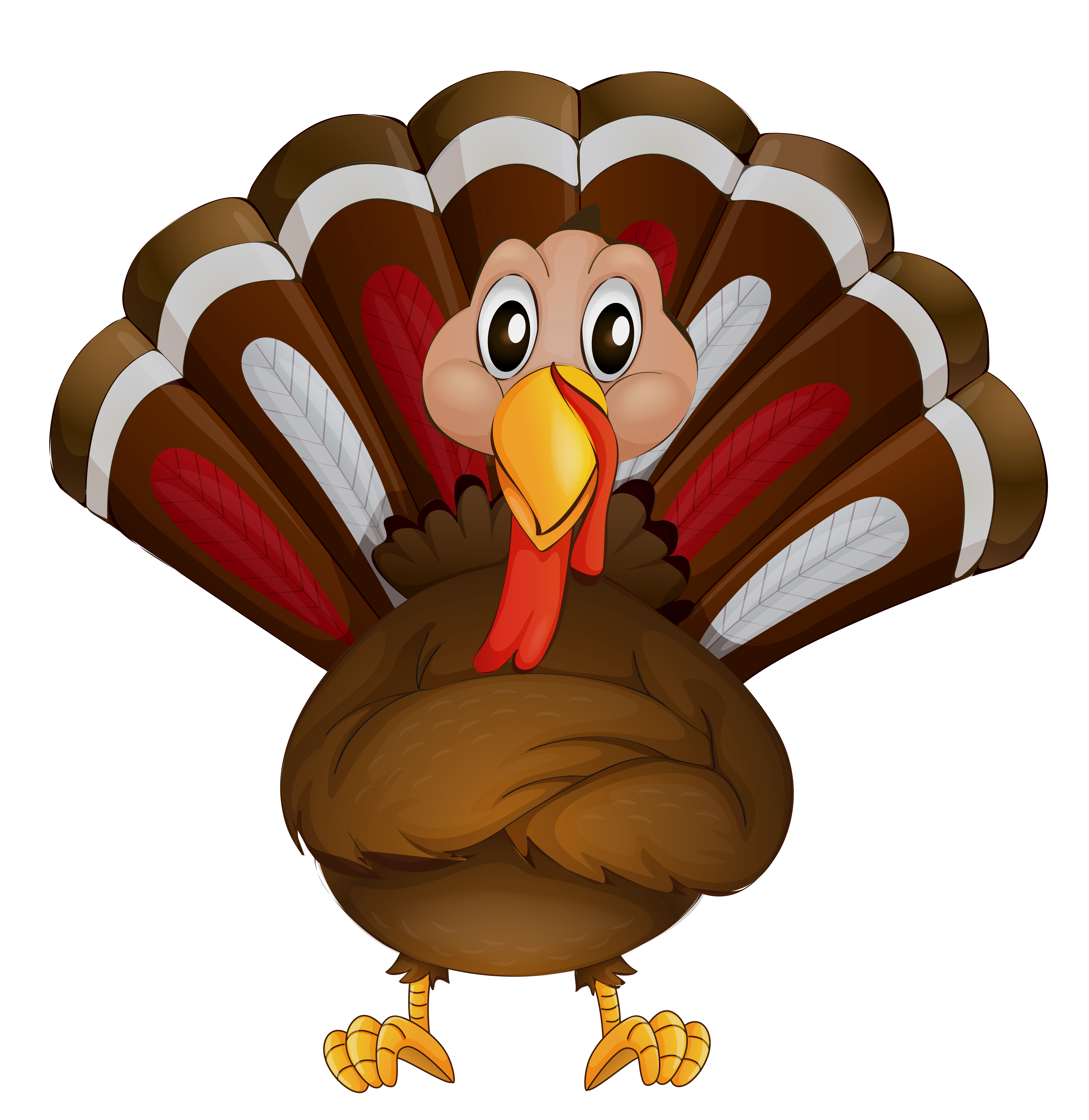 Tukey clipart - Clipground