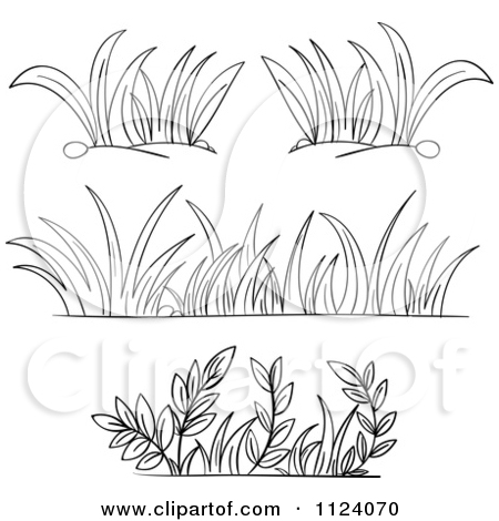 free black and white plant clip art - Clipground