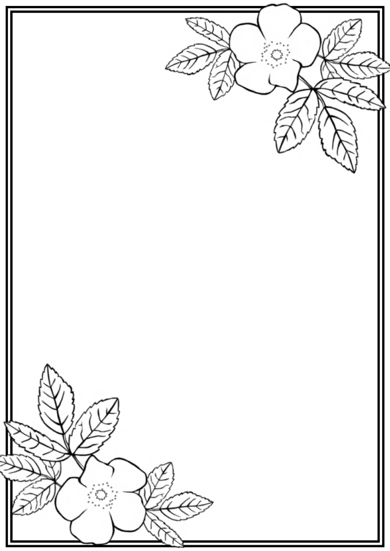 Free Flower Borders For Word Document Clipground