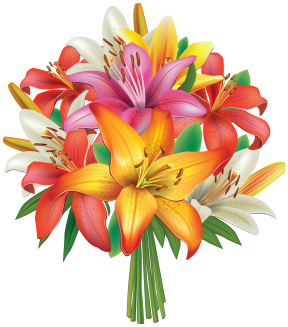 free flower clipart no backgrond - Clipground