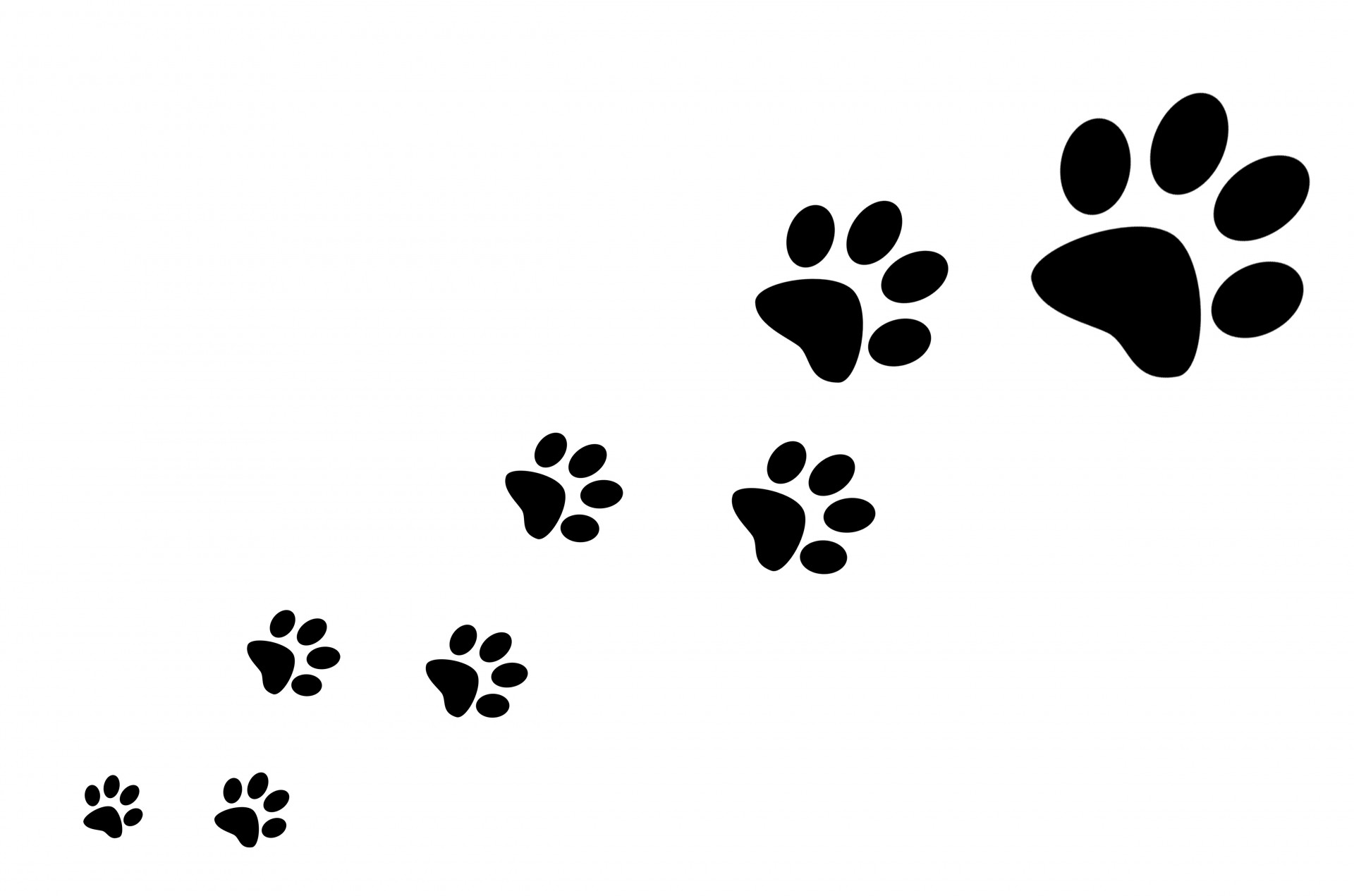 Free Printable Paw Print Clipart Clipground
