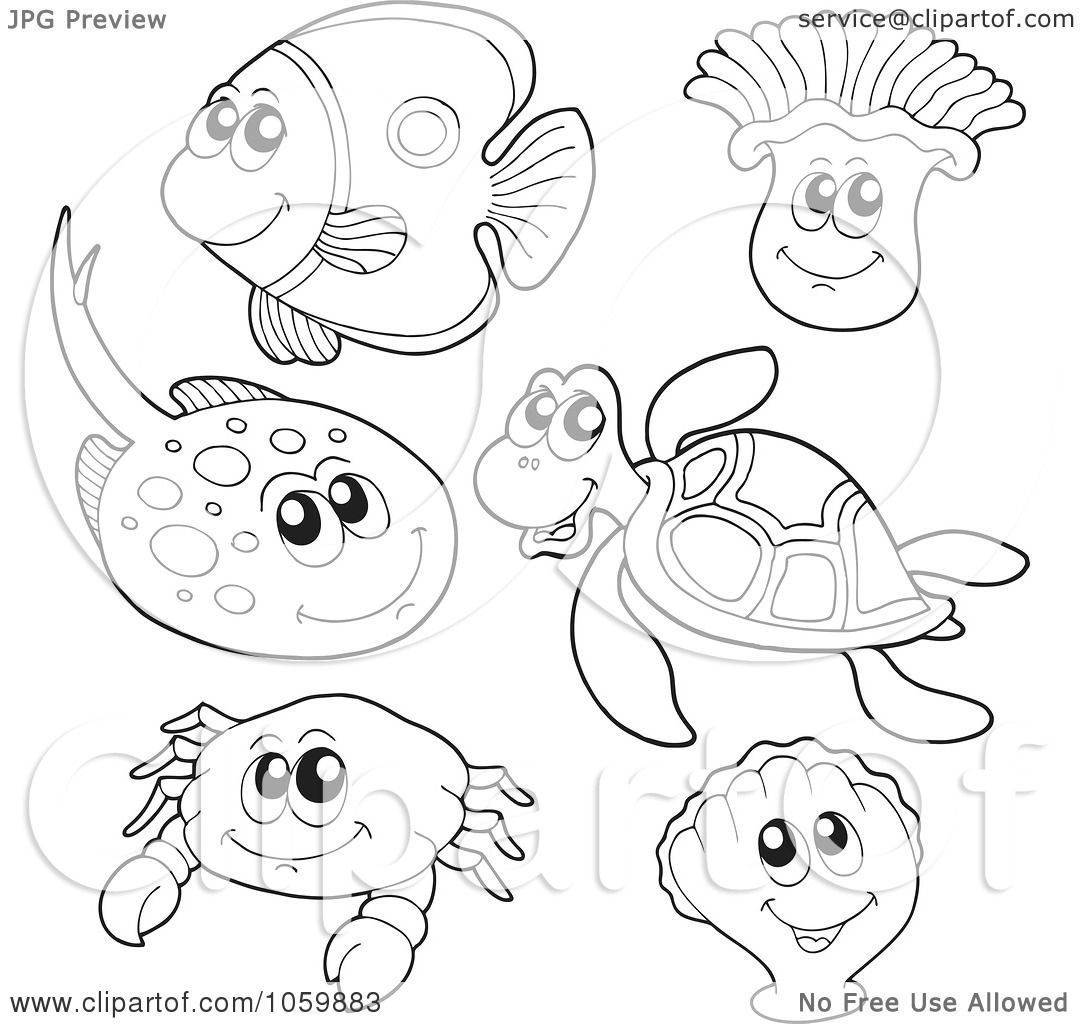 free sea animals clipart color - Clipground