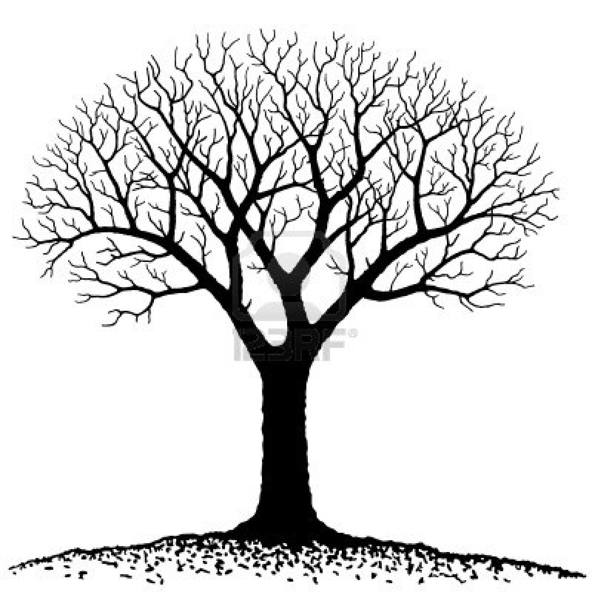 Free Tree Silhouette Clipart Clipground