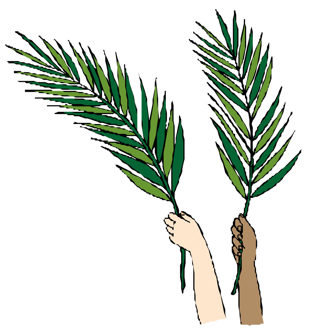 Palm Leaves Clipart Clipground