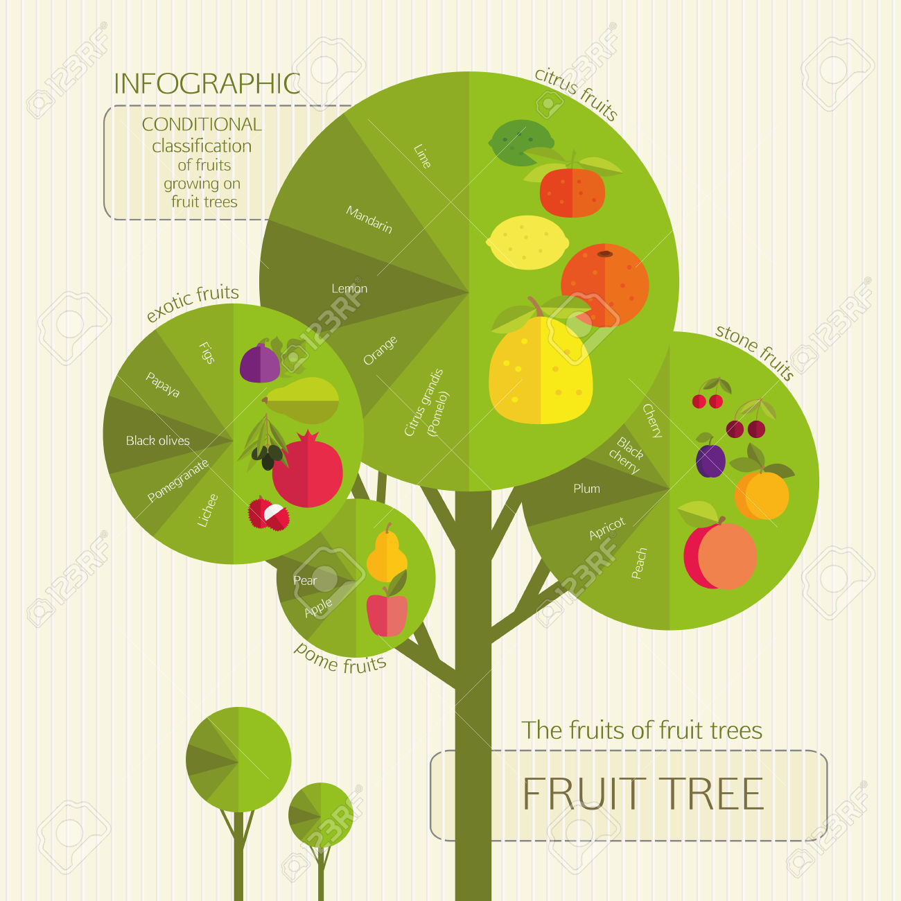 free fruit tree clipart - photo #48