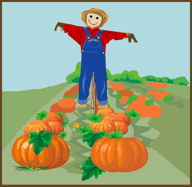 Pumpkin field clipart - Clipground