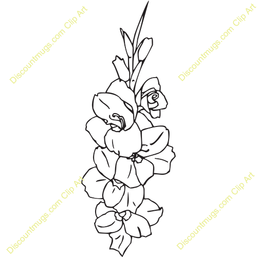 gladiolus-clipart-clipground