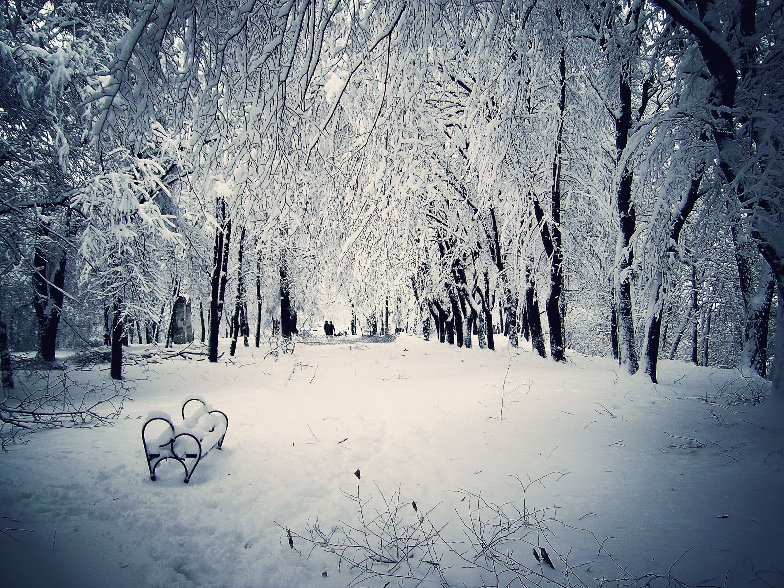 Gorgeous winter scenery clipart - Clipground