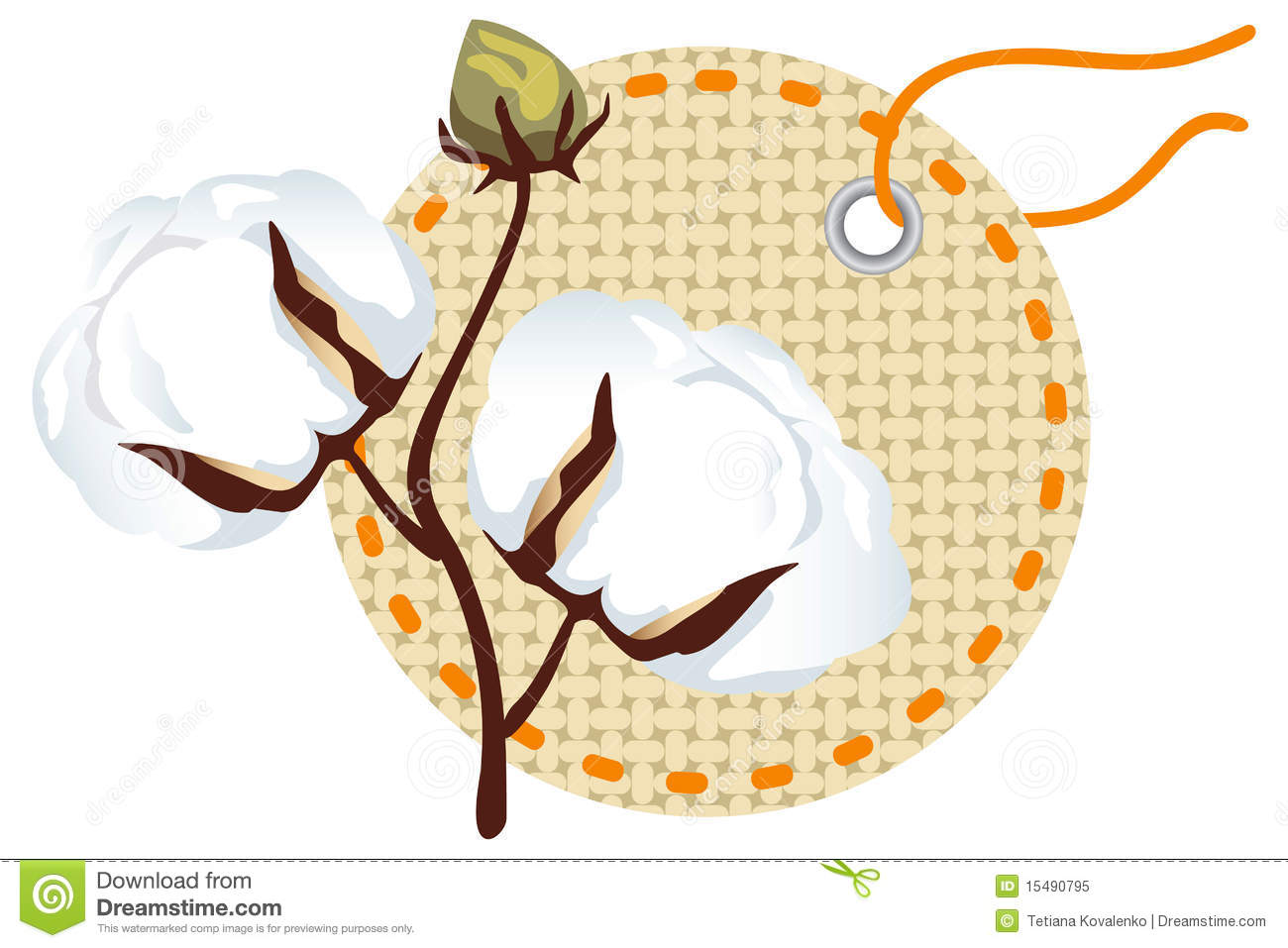 Cotton Branch With Label (Gossypium) Royalty Free Stock Photo. Cotton Branch With Label (Gossypium) Royalty Free Stock Photo.