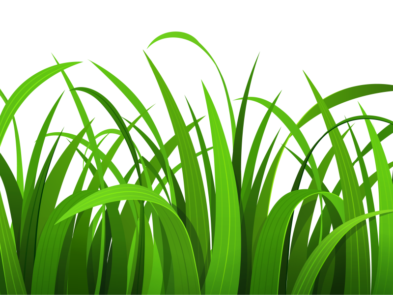 green grass clipart