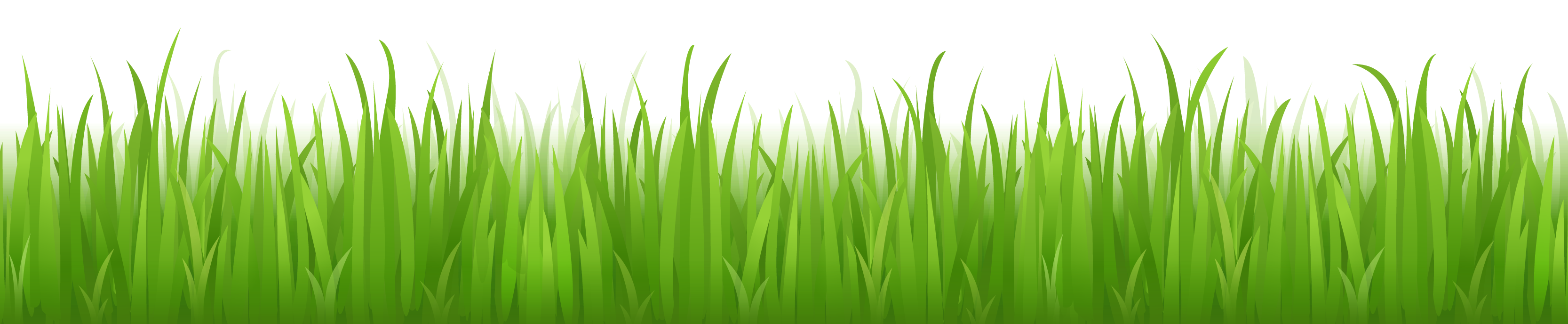 Green grass clipart - Clipground