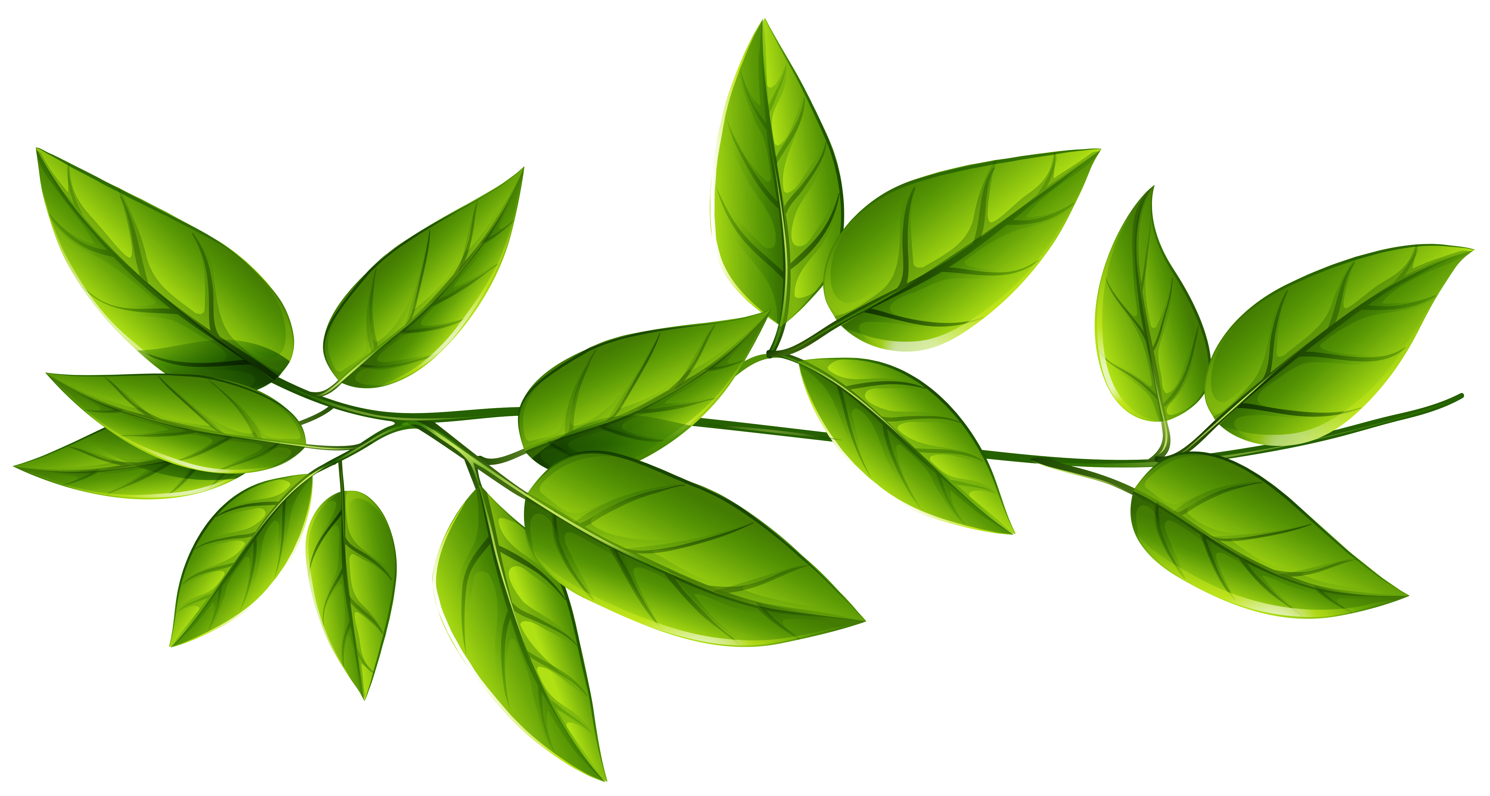 Green leaves background clipart - Clipground
