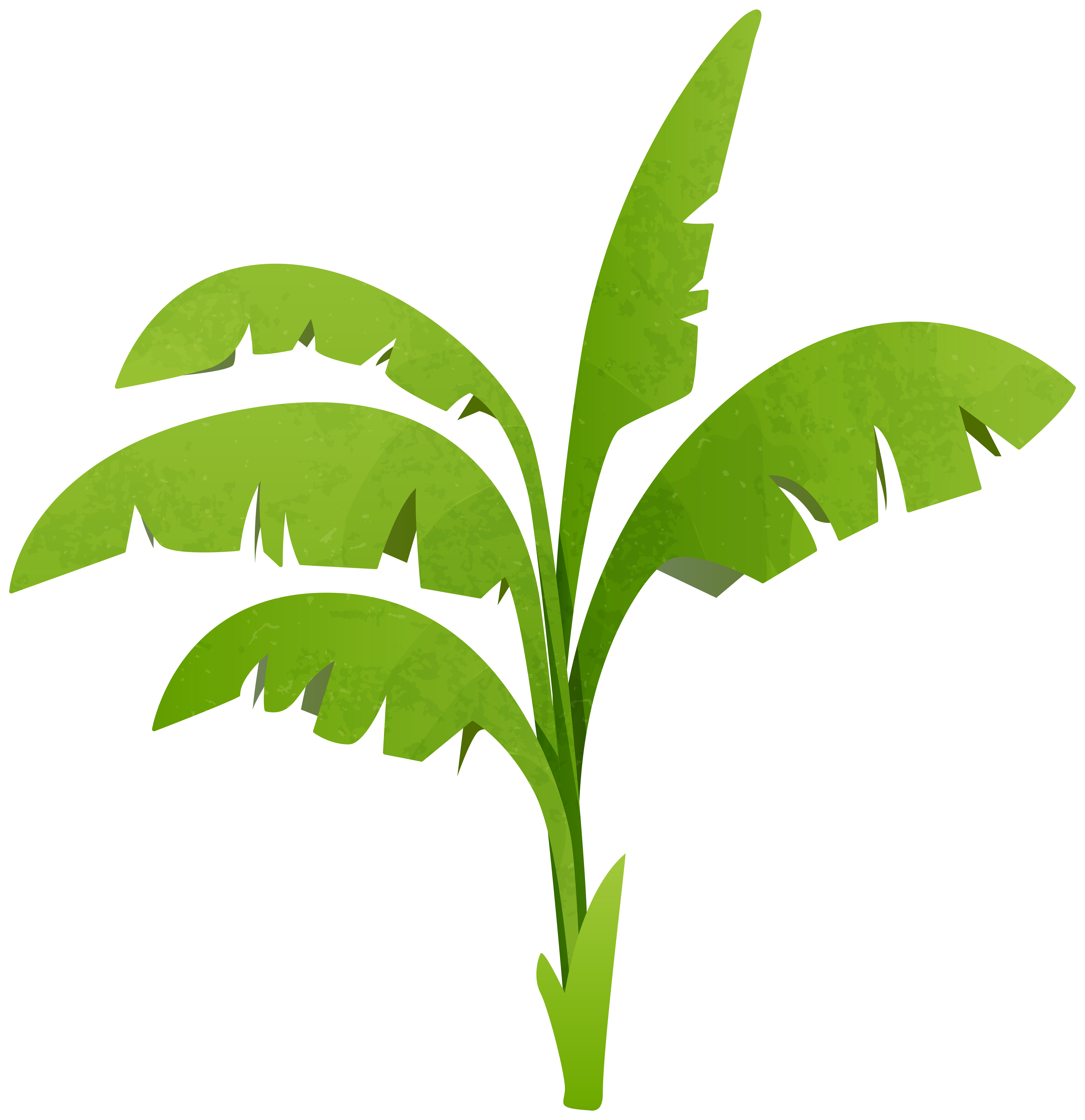 green plant clip art - photo #49