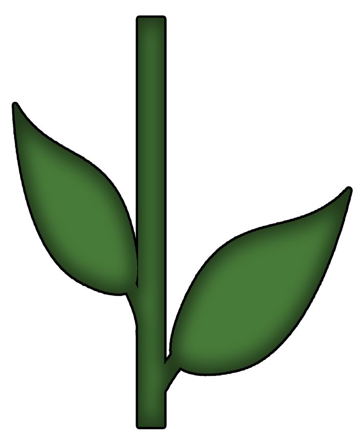 flower-stem-and-leaf-template