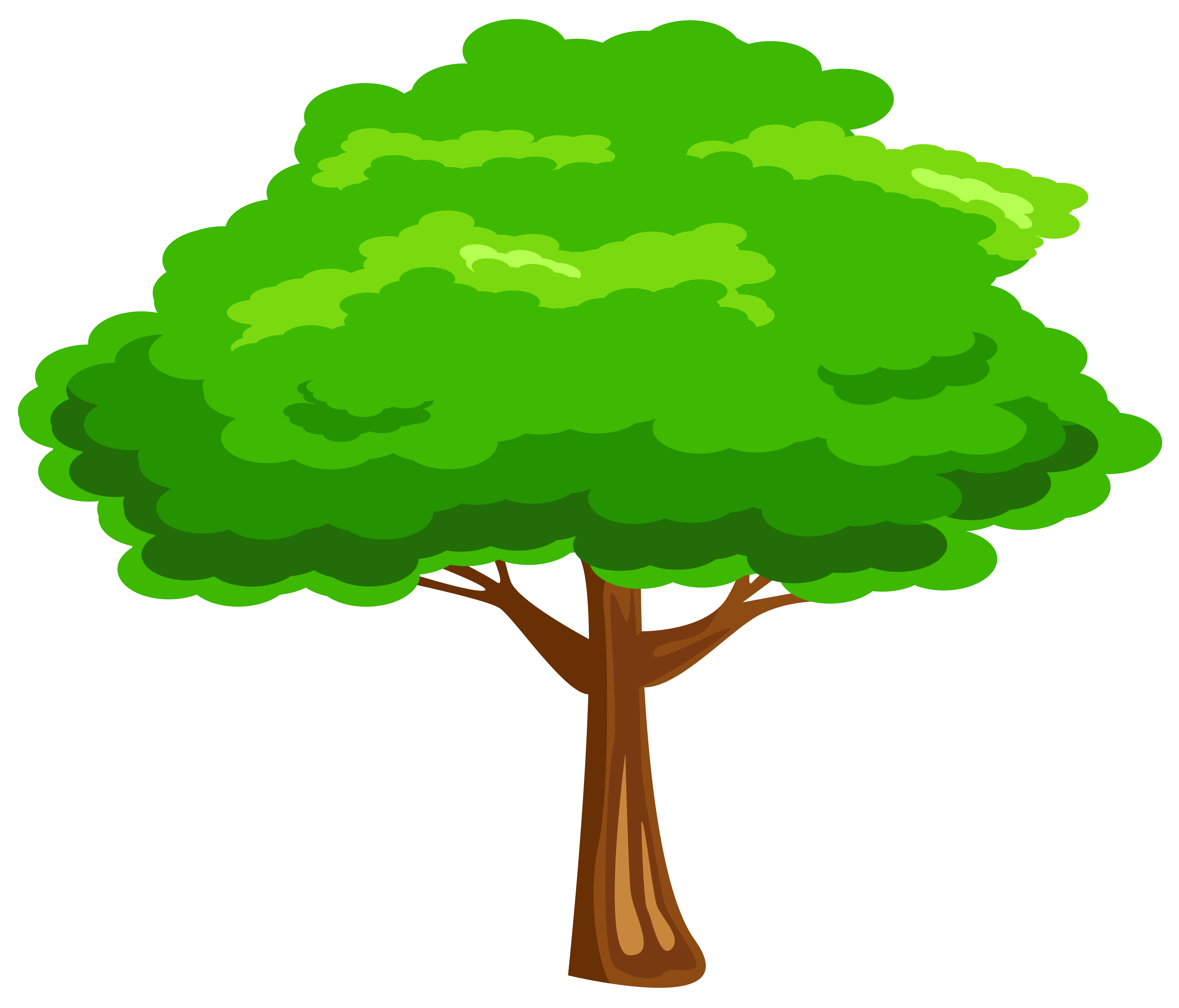 Arbol Animado Png - PNG Image Collection