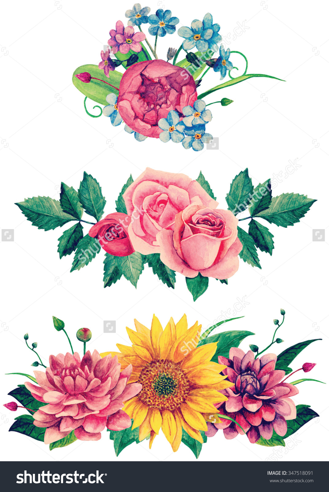 watercolor floral clipart - photo #42