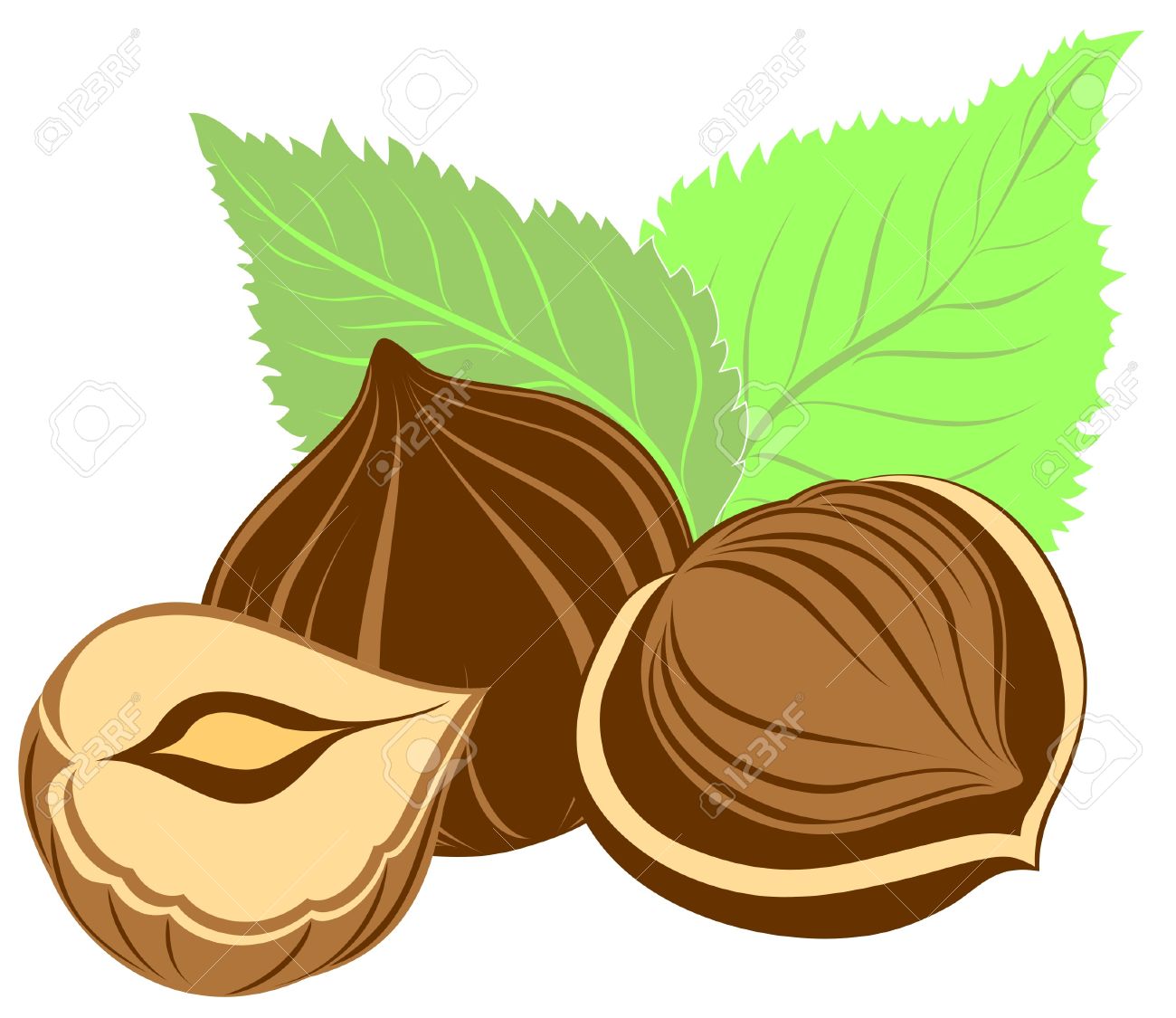 clipart of tree nuts - photo #43