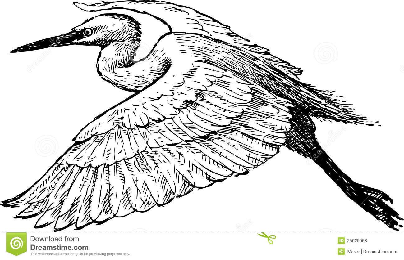 Heron in flight clipart Clipground