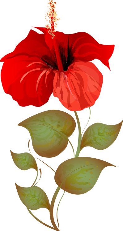 Hibiscus tree clipart - Clipground