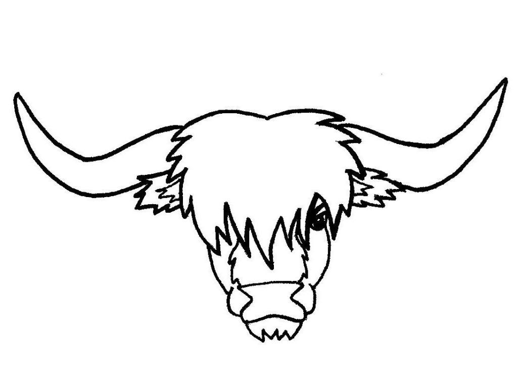 Highland beef clipart - Clipground