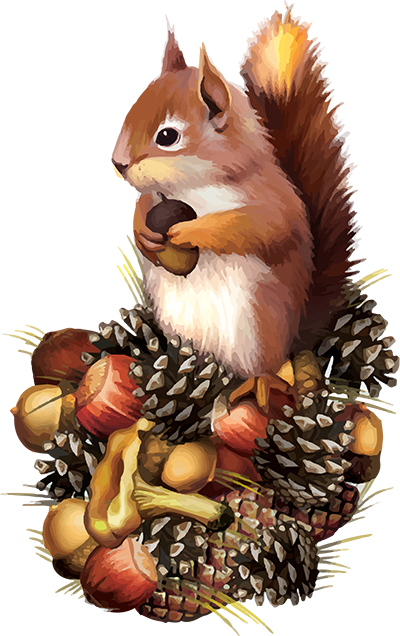 illustrations squirrel family autumn no clipart - Clipground