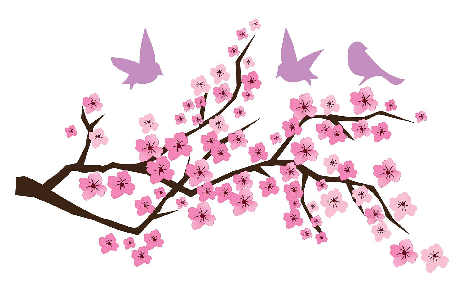 Japanese cherry blossom clipart - Clipground