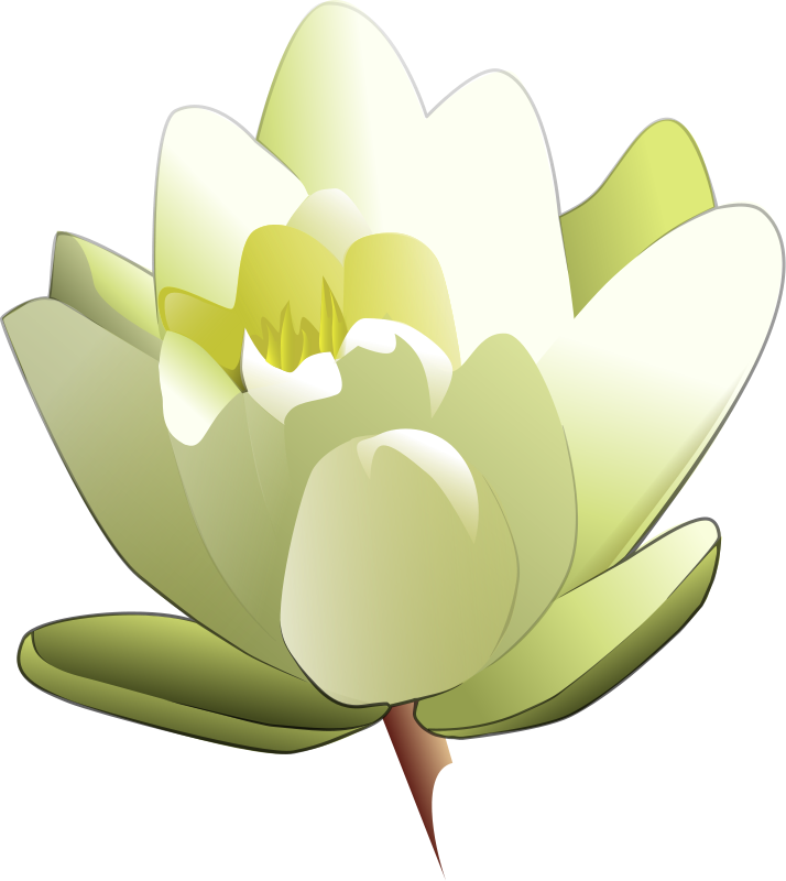 free clip art jasmine flower - photo #43