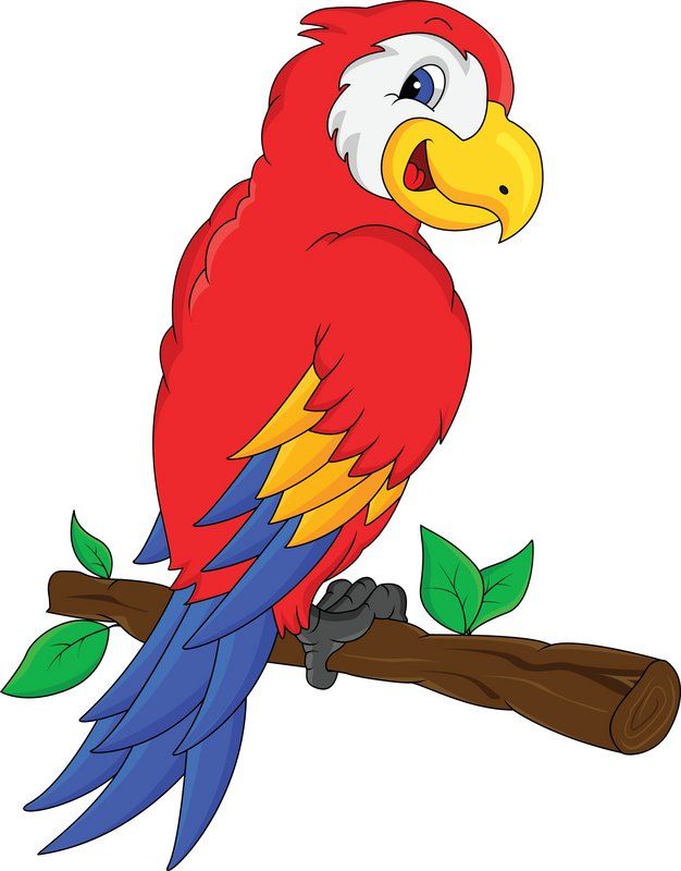 jungle parrot clipart - Clipground