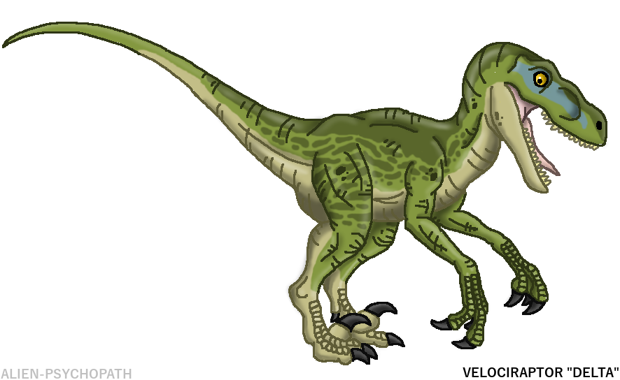 jurassic world raptor clipart - Clipground