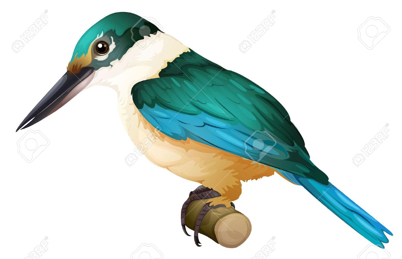 clipart kingfisher bird - photo #9