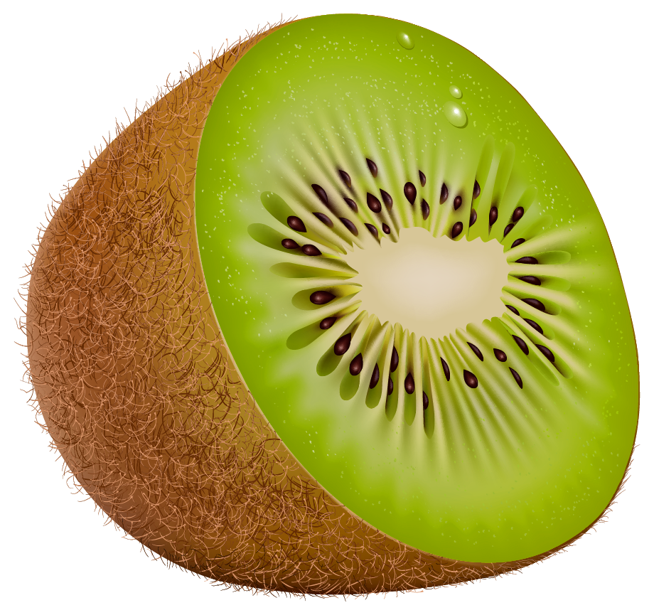 Kiwi Clipart Clipground