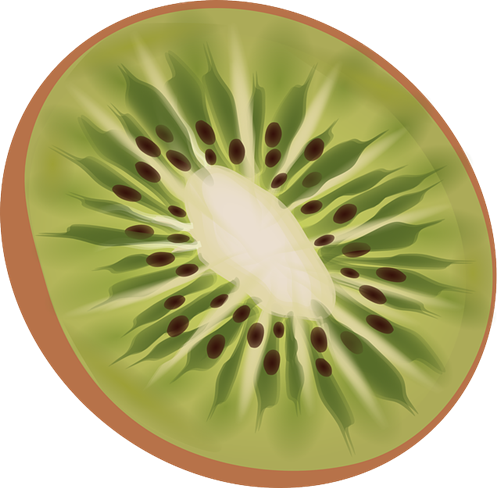 Kiwifruit clipart - Clipground