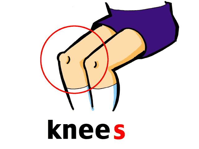 Knees clipart - Clipground