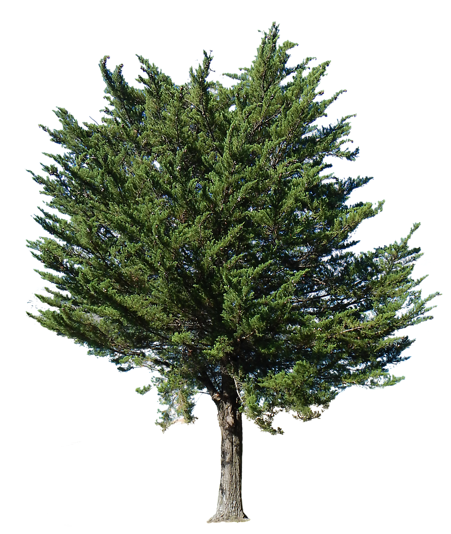 landscape clipart tree png 20 free Cliparts | Download images on