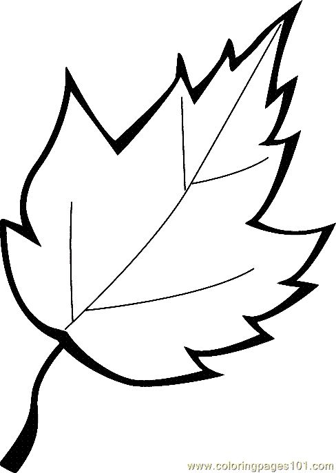 Leaf coloring clipart - Clipground