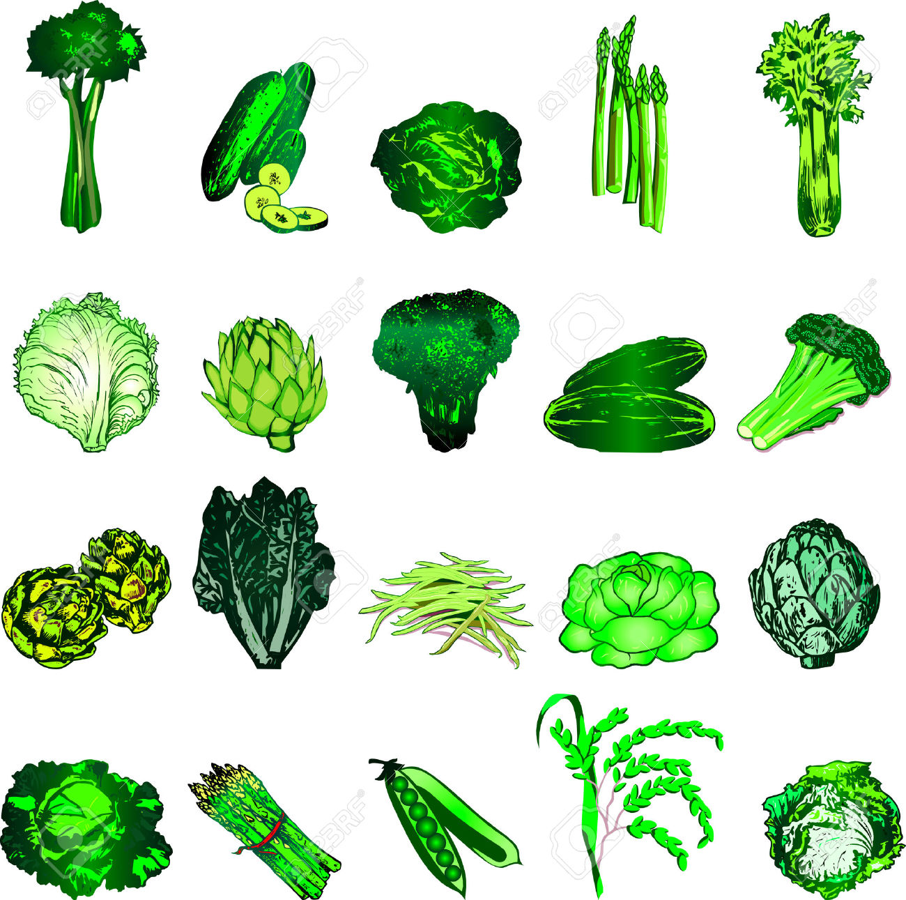 Leafy Vegetables Clipart Clipground