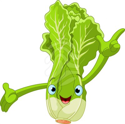 Lettuce clipart - Clipground