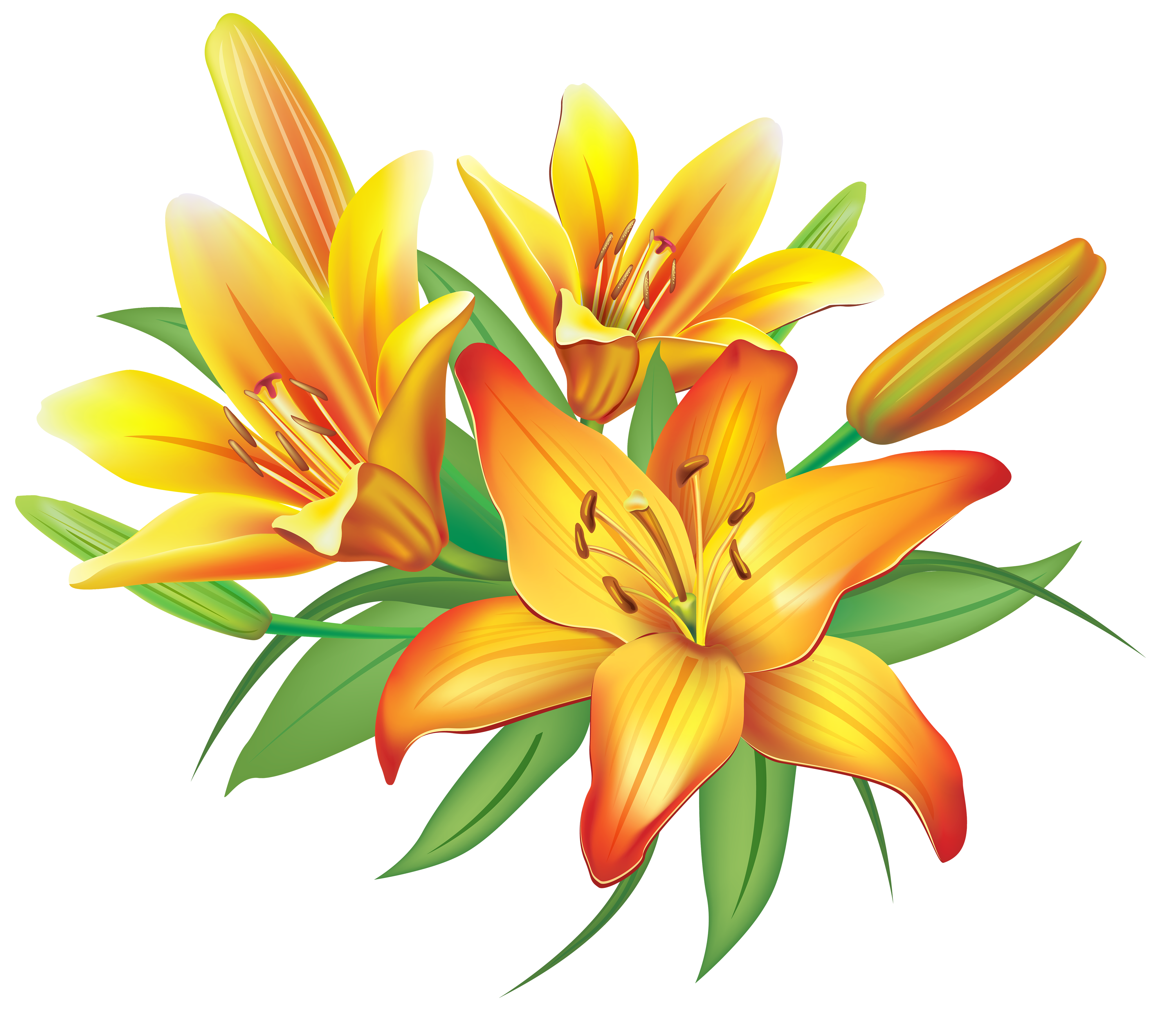 Yellow lily clipart - Clipground