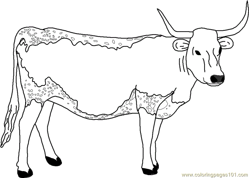 Longhorn cow clipart - Clipground