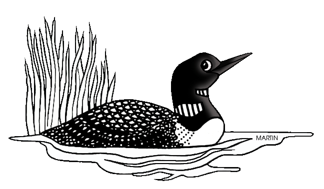 Loons clipart - Clipground