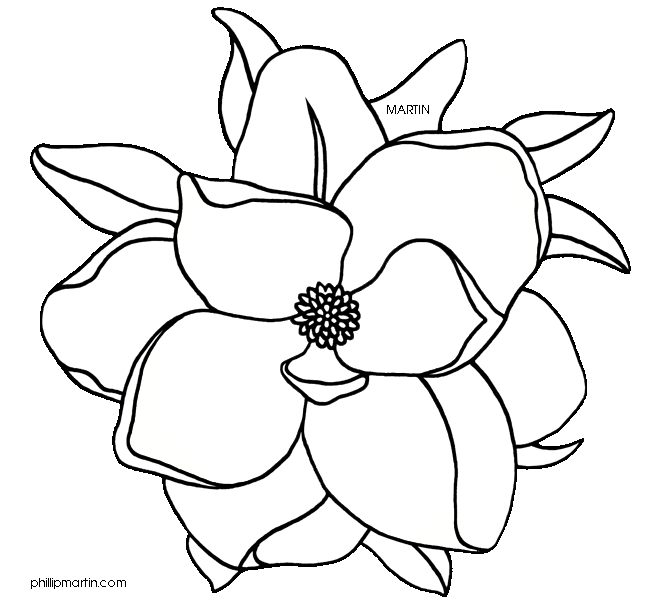 magnolia silhouette clipart - Clipground