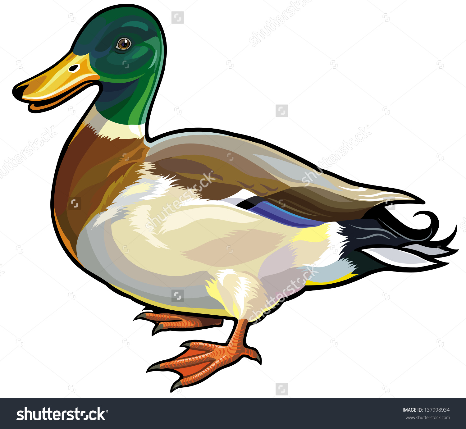 green duck clipart - photo #37