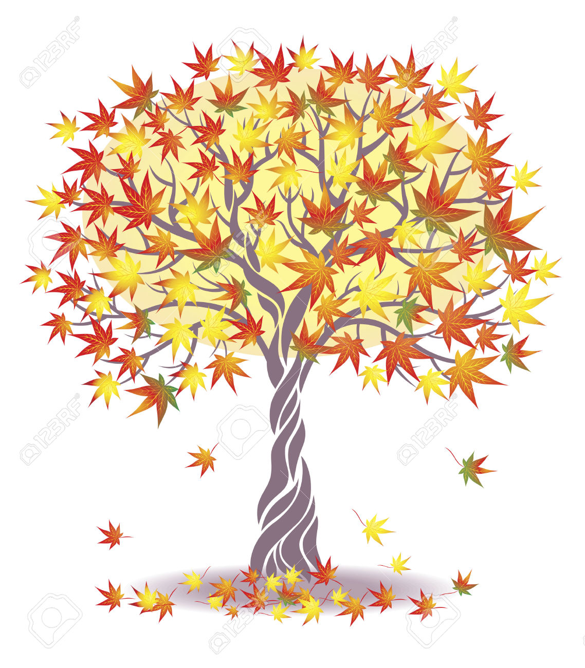 Maple tree clipart - Clipground