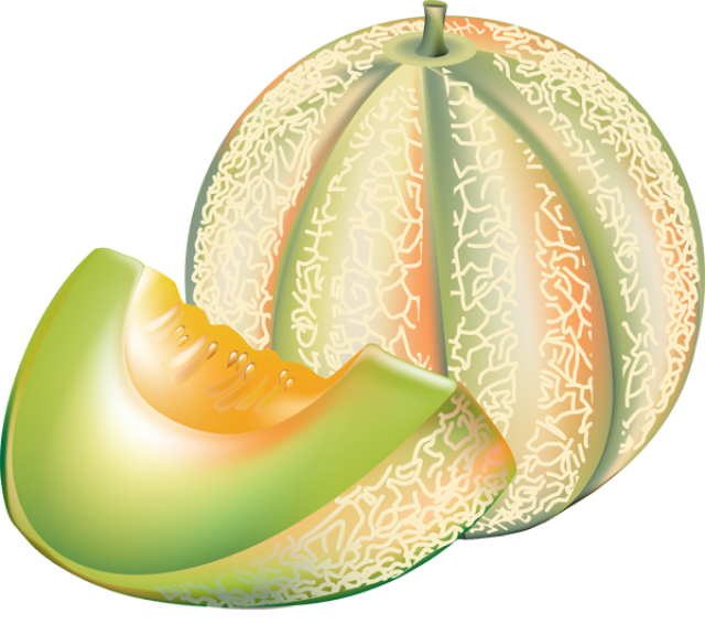 Melon clipart 20 free Cliparts | Download images on Clipground 2020