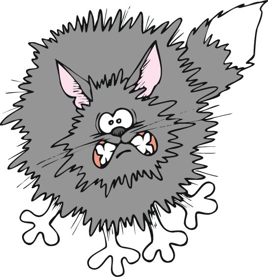cat meowing clipart - photo #14